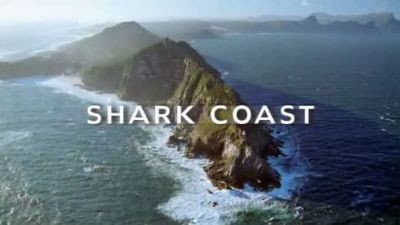Still from Shark Coast