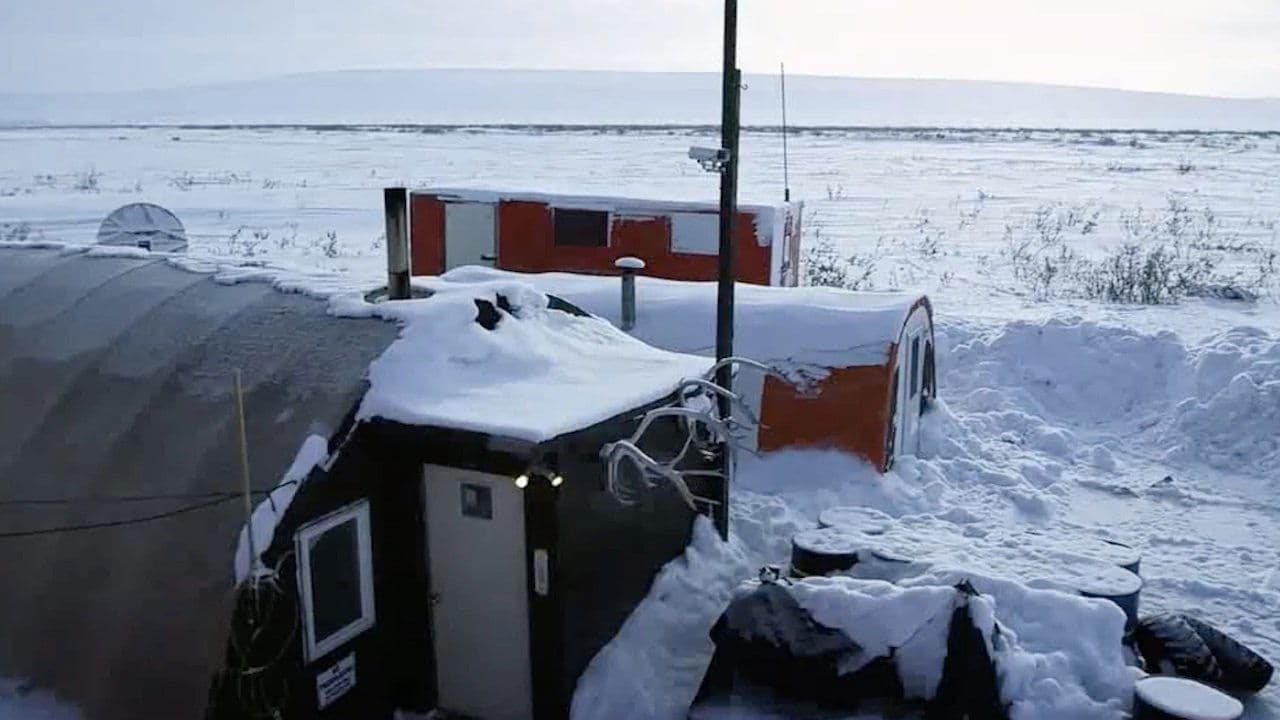 Still from Wolf at the Door