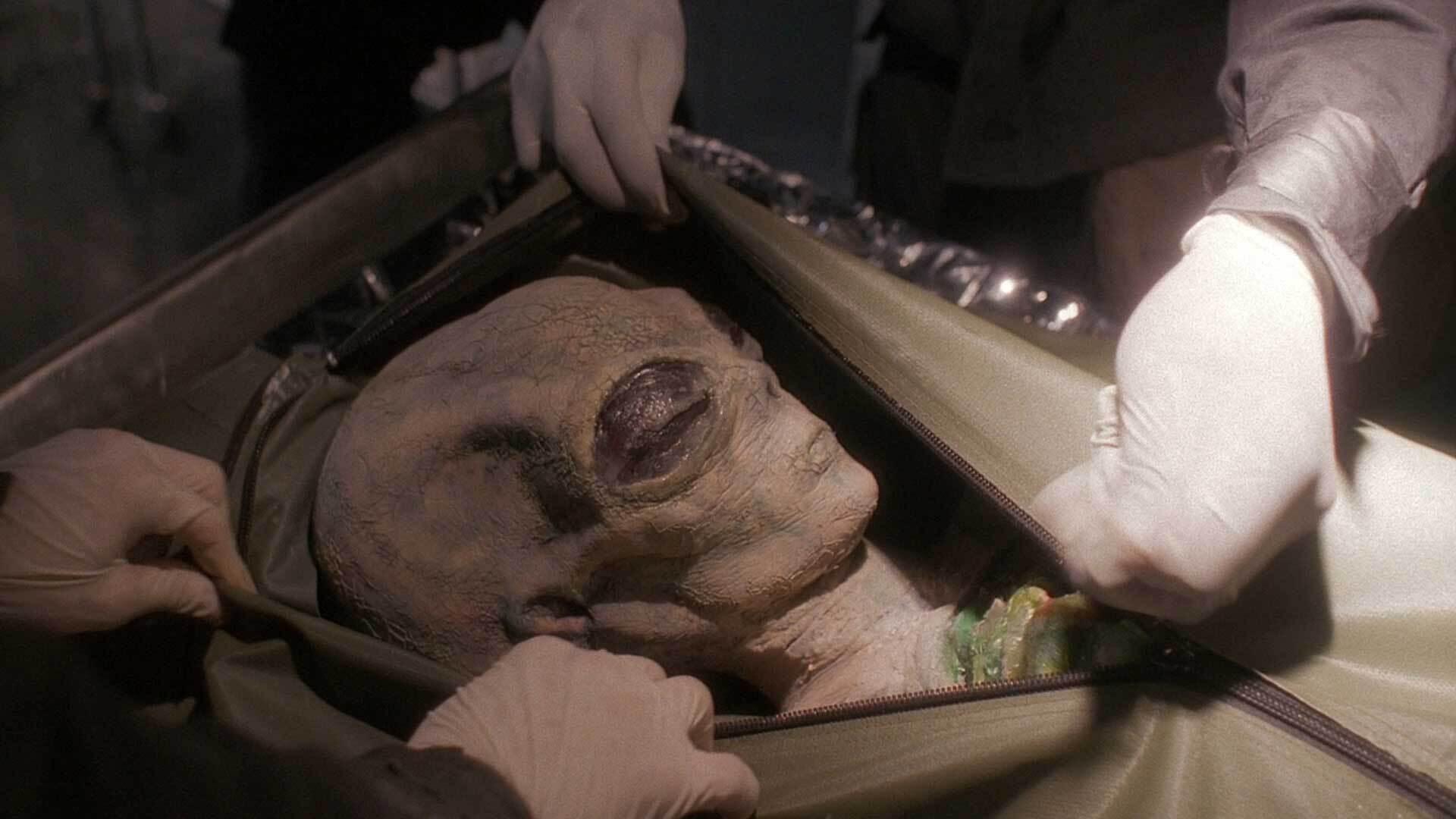 Still from Nisei (1)