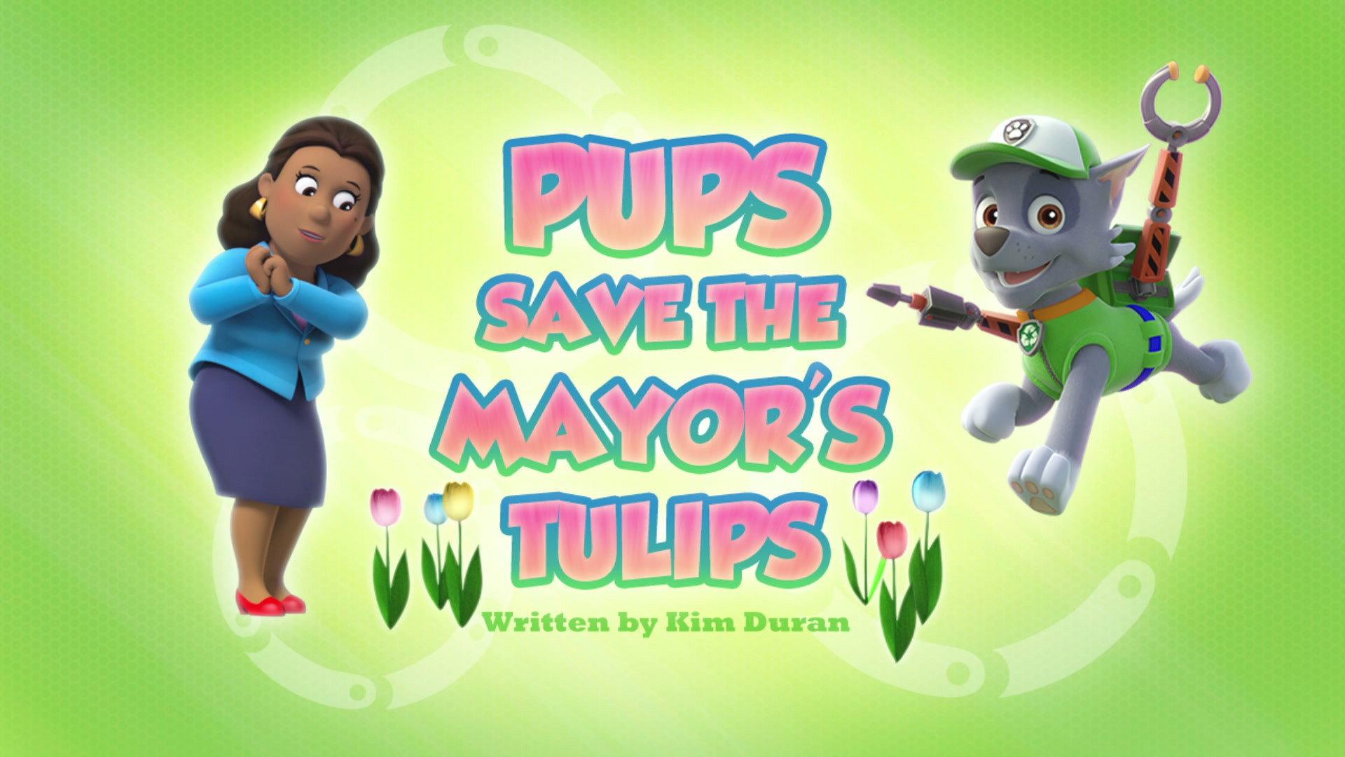 Still from Pups Save the Mayor's Tulips