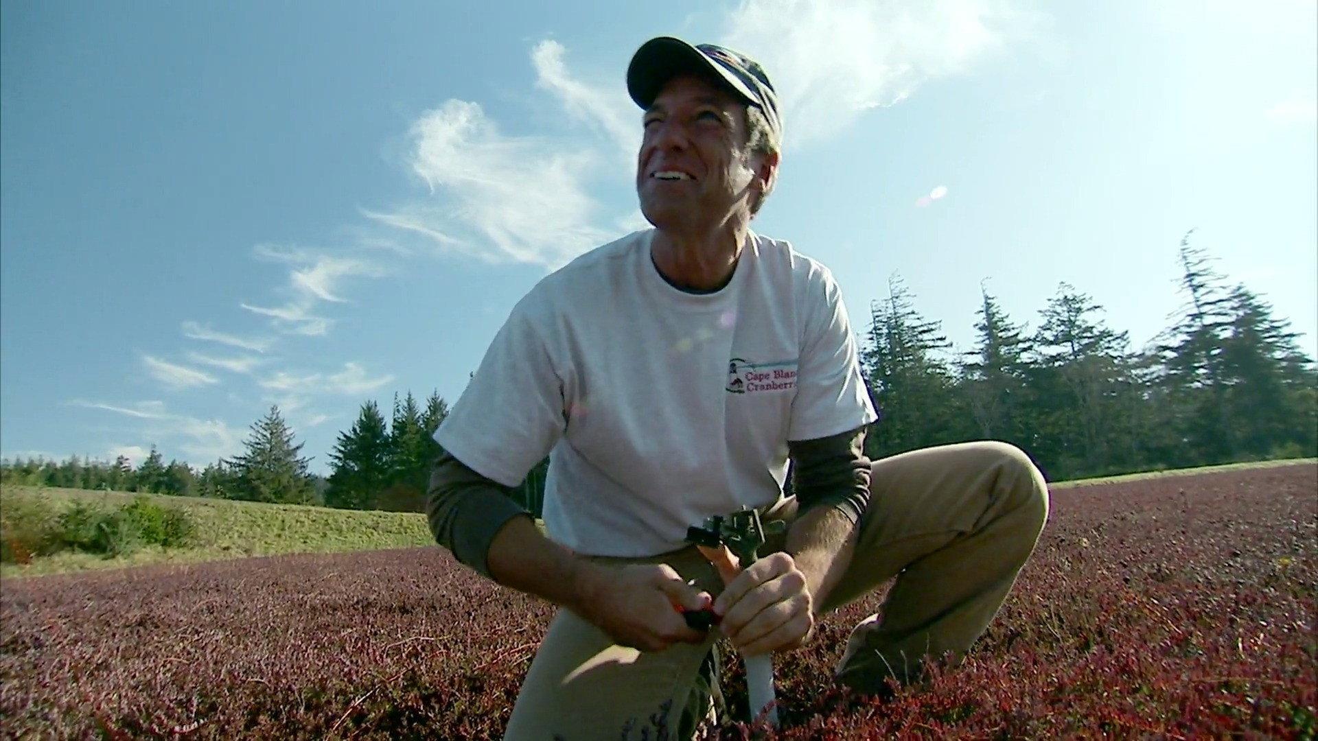 Still from Cranberry Farmer