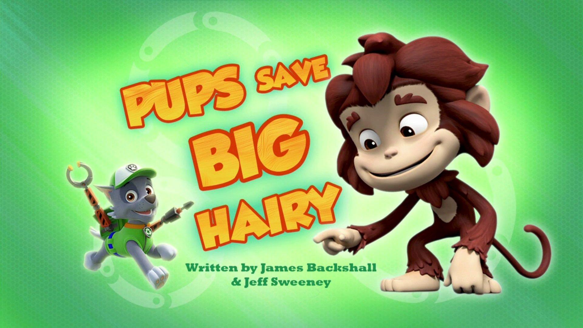 Still from Pups Save Big Hairy