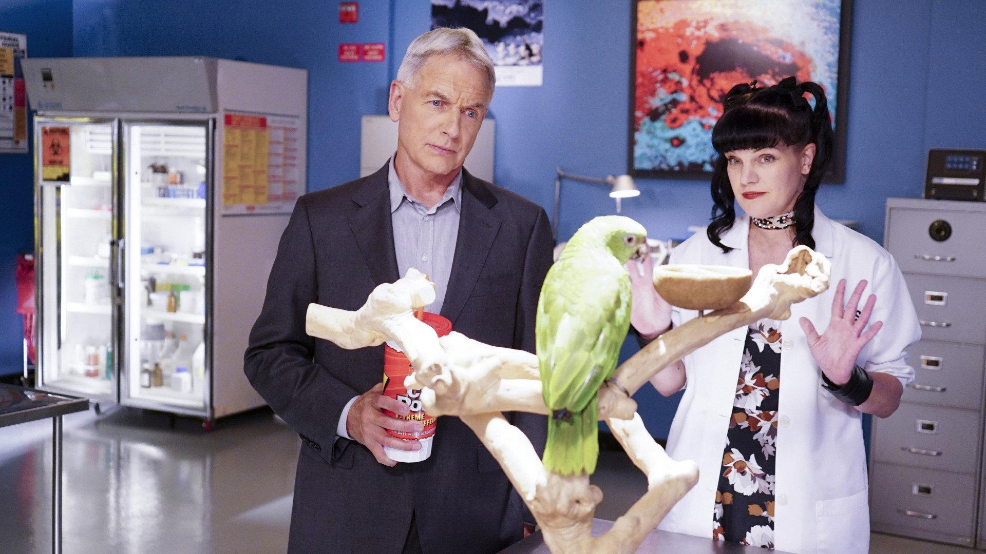 Still from Privileged Information