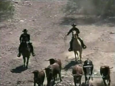 Still from Shadows on the Land