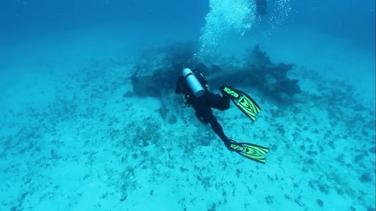 Still from Finding the Lost Pilots of WW2