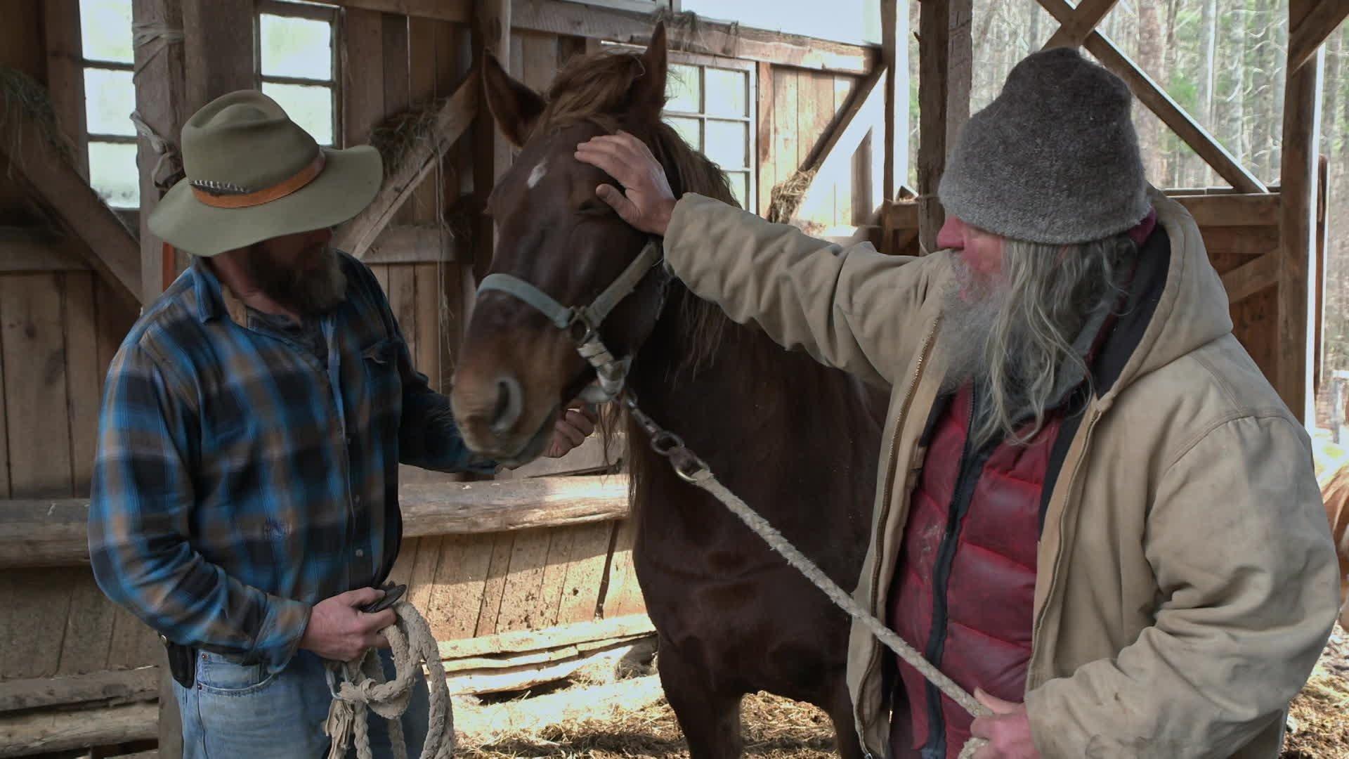 Still from Breaking Wild