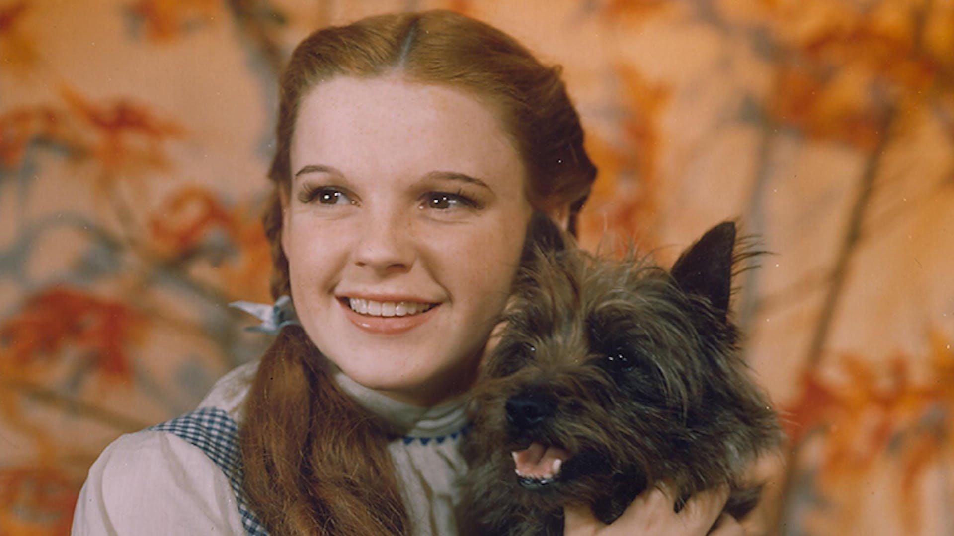 Still from The Wizard of Oz