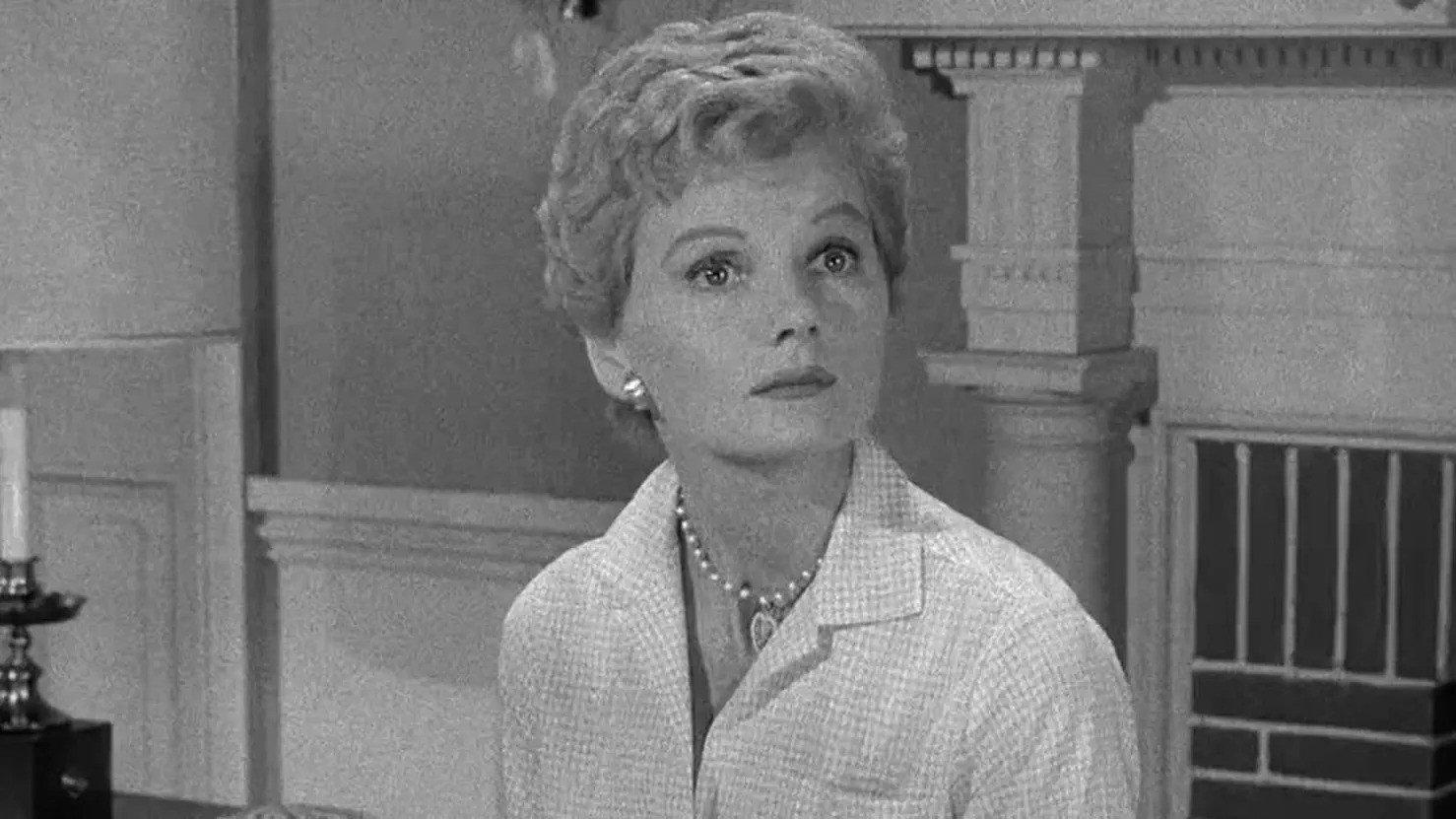 Still from Beaver's Guest
