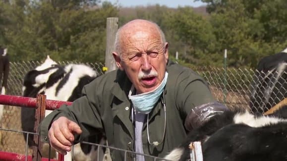 Still from Toe the Swine