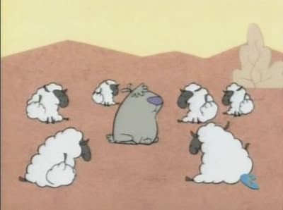 Still from Sheep Dogs