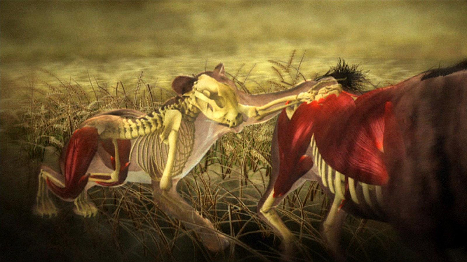 Still from Moment of Impact: Hunters & Herds
