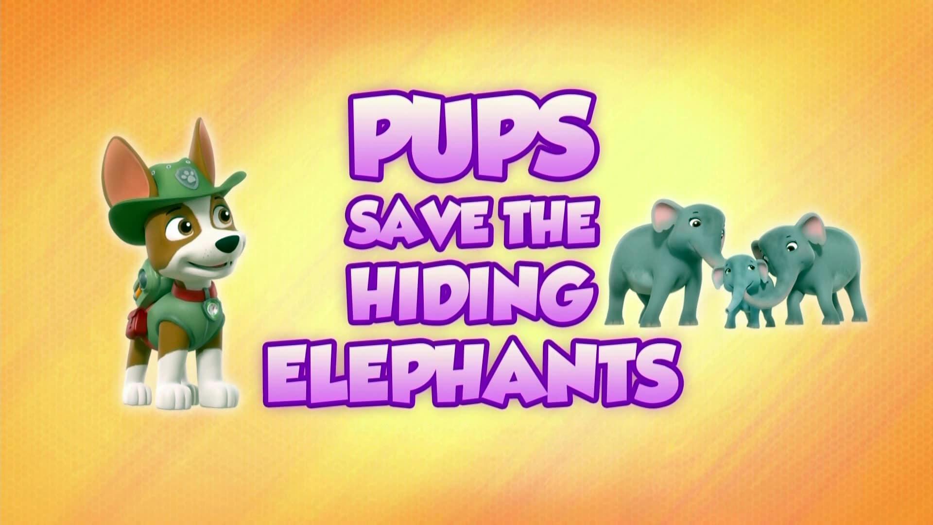 Still from Pups Save the Hiding Elephants
