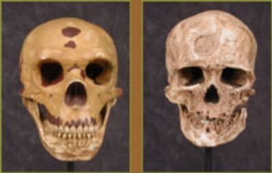 Still from Neanderthals on Trial