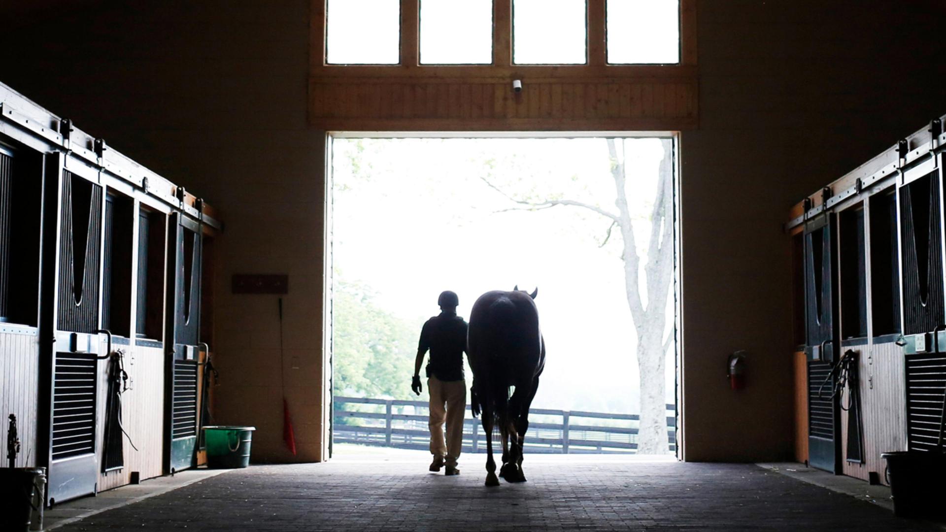 Still from Broken Horses