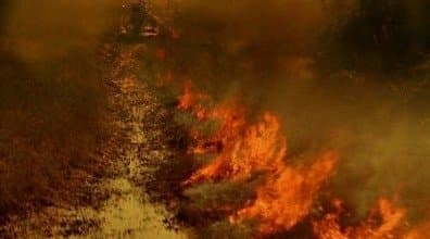 Still from Slow Burn