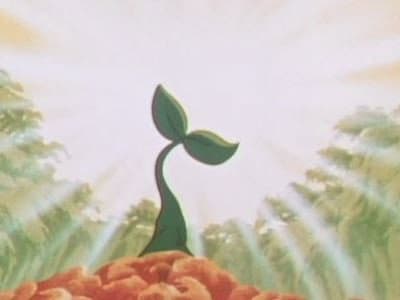 Still from The Sun Tree