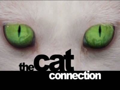 Still from The Cat Connection