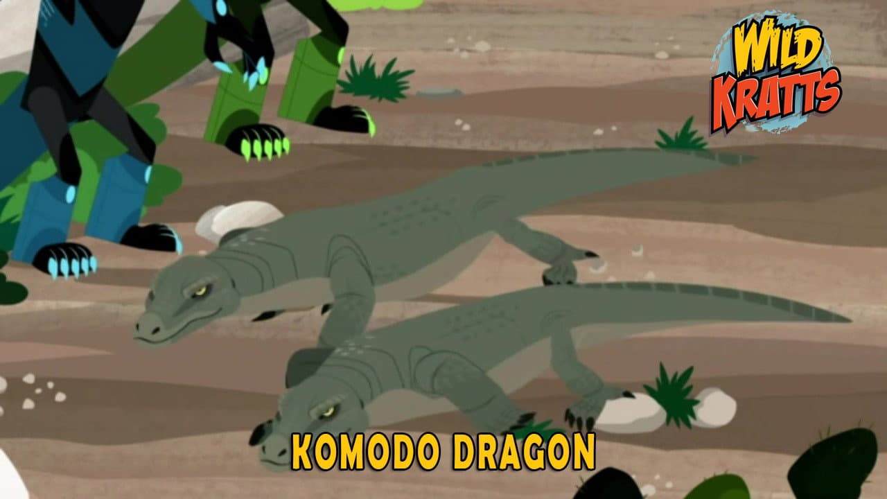 Still from Komodo Dragon