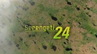 Still from Serengeti 24