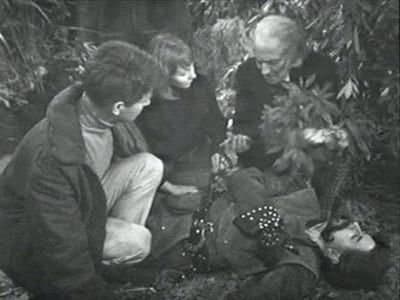 Still from The Lion