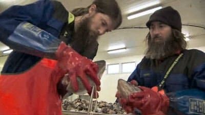 Still from Beards in the Wind