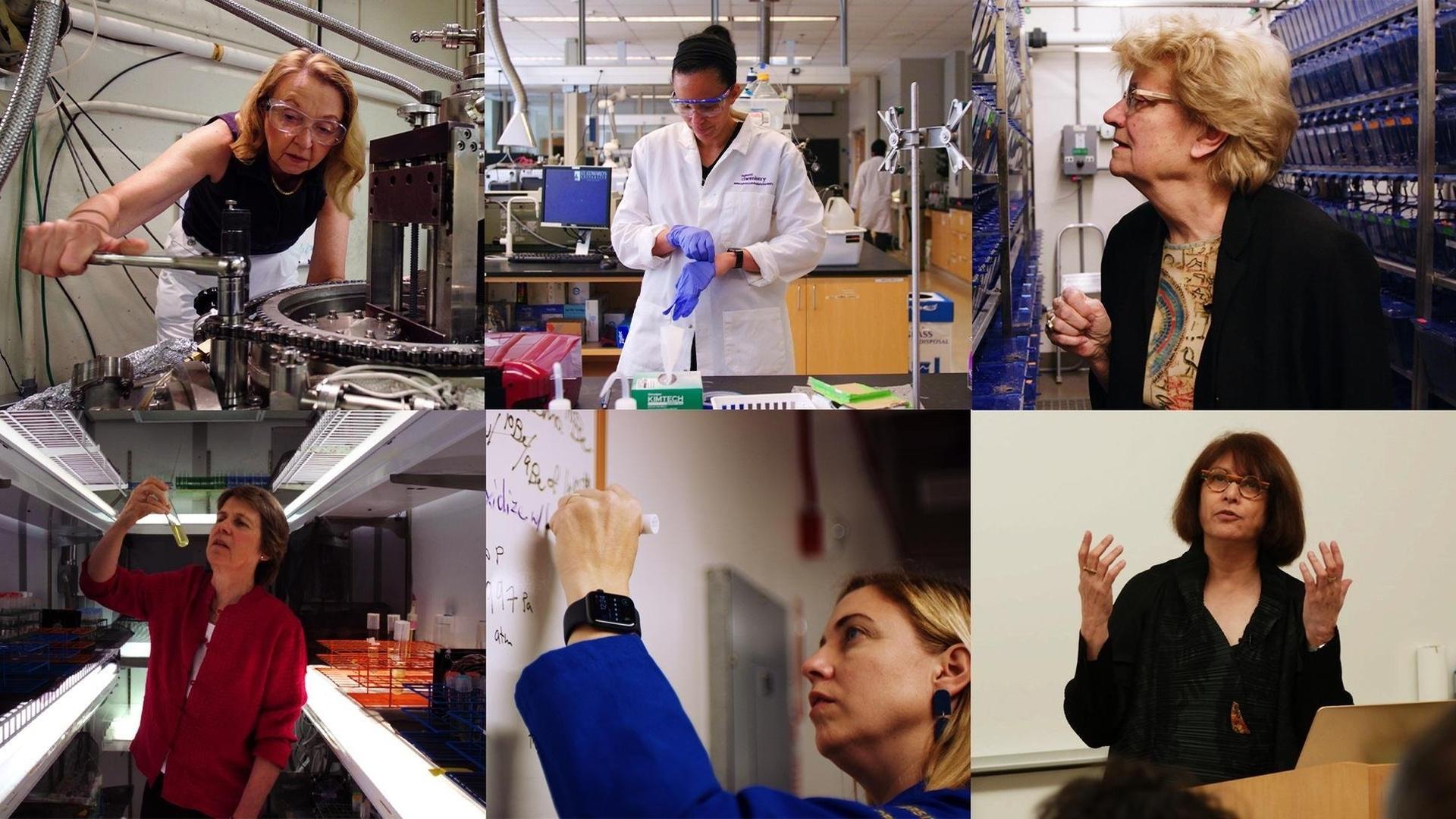 Still from Picture a Scientist/ Search Engine Breakdown