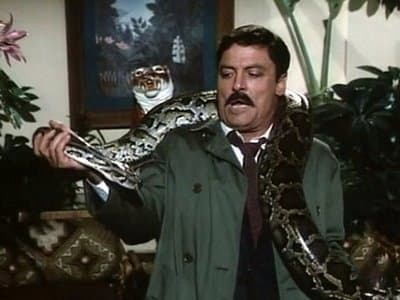 Still from The Deadly Prey
