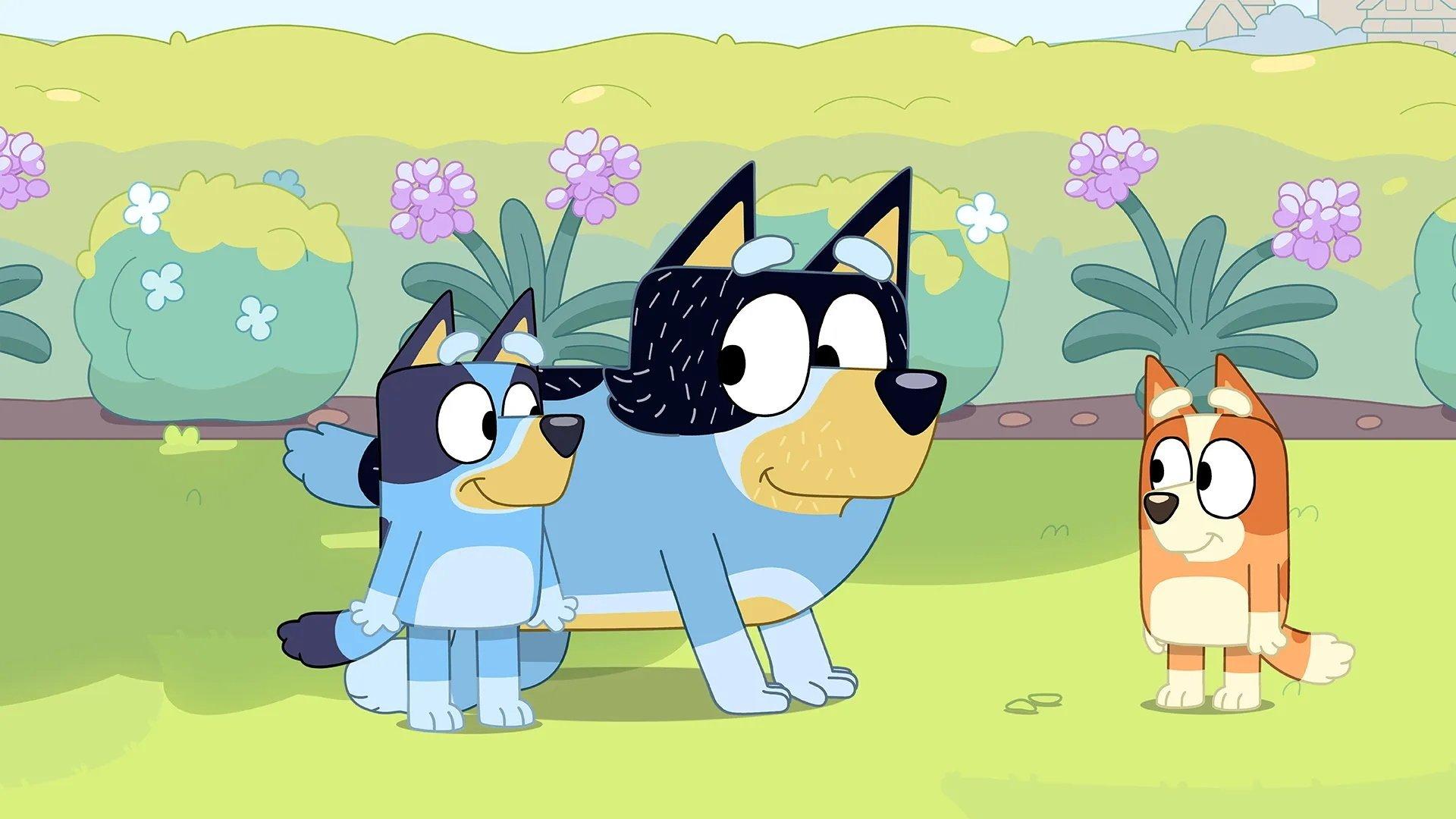 Still from Sheep Dog