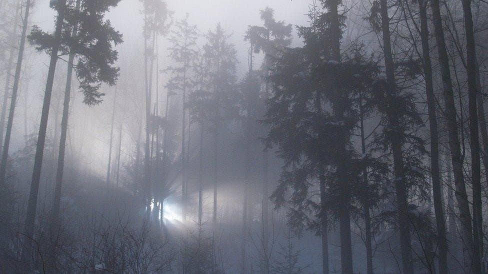 Still from The Rendlesham Forest Incident