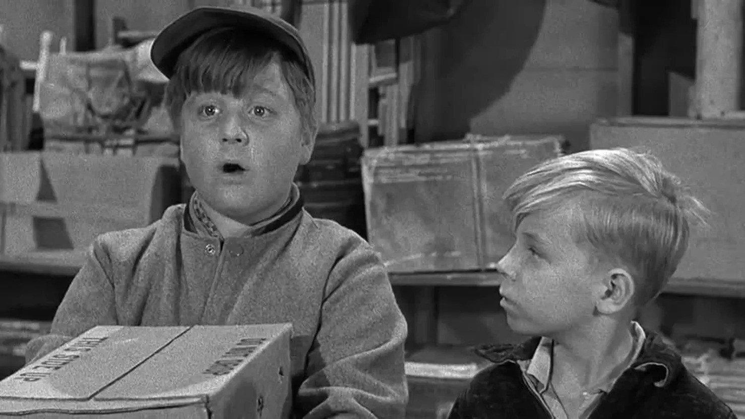 Still from Beaver's Pigeons