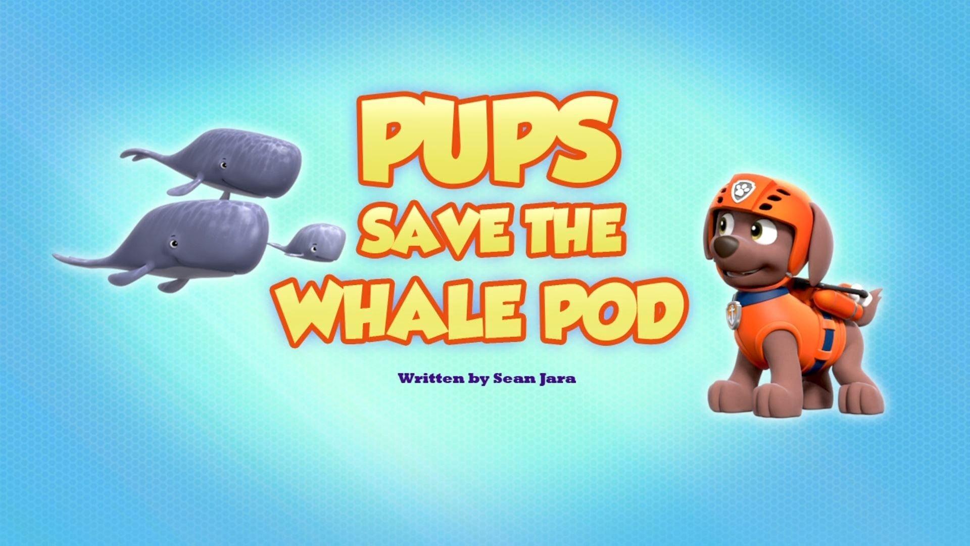 Still from Pups Save the Whale Pod
