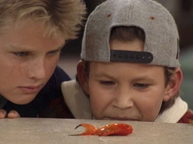 Still from Howard's End