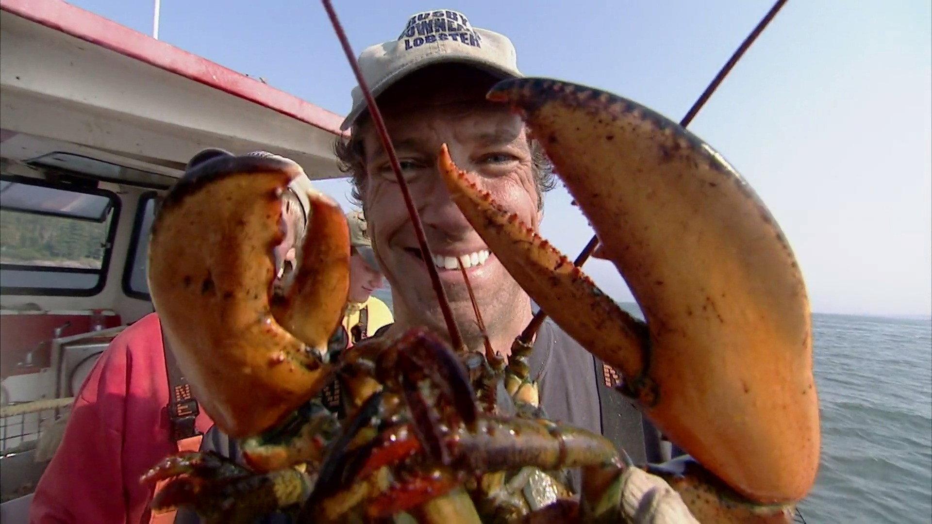 Still from Snake Researcher