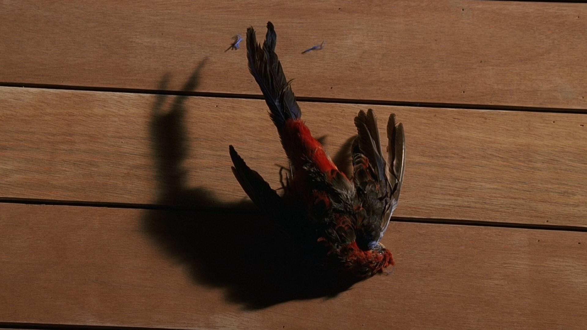 Still from Special