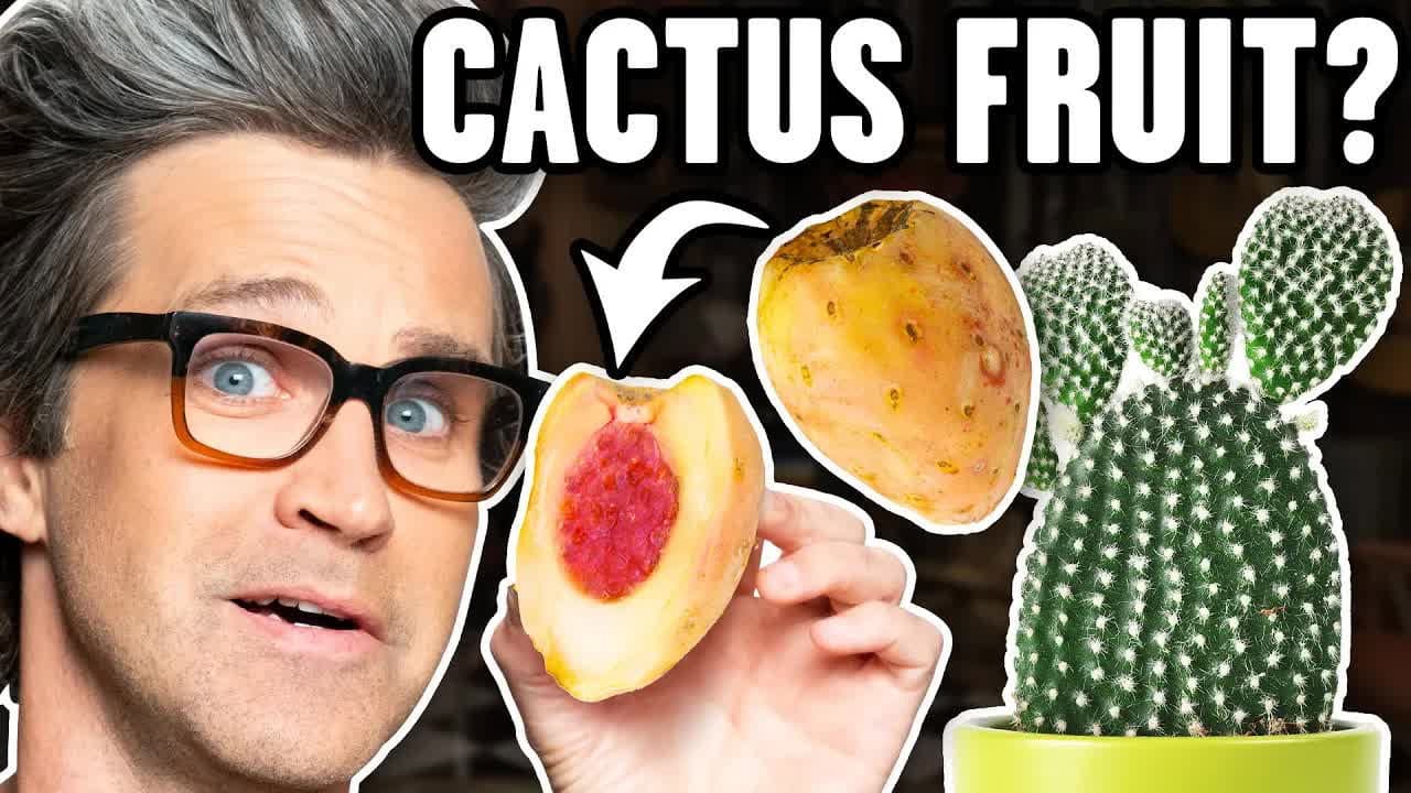 Still from Exotic Fruits Taste Test