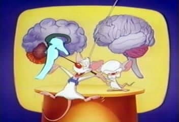 Still from Brainstem