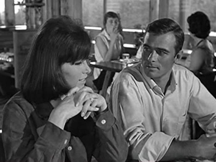 Still from A Cage in Search of a Bird