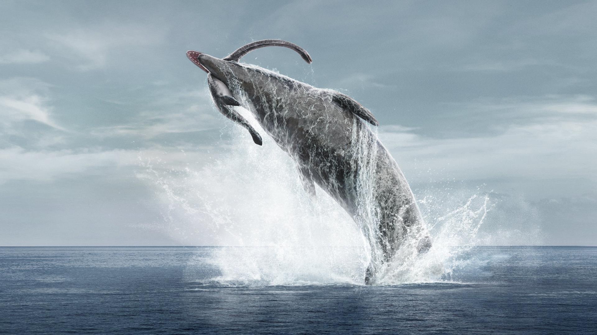 Still from Oceans