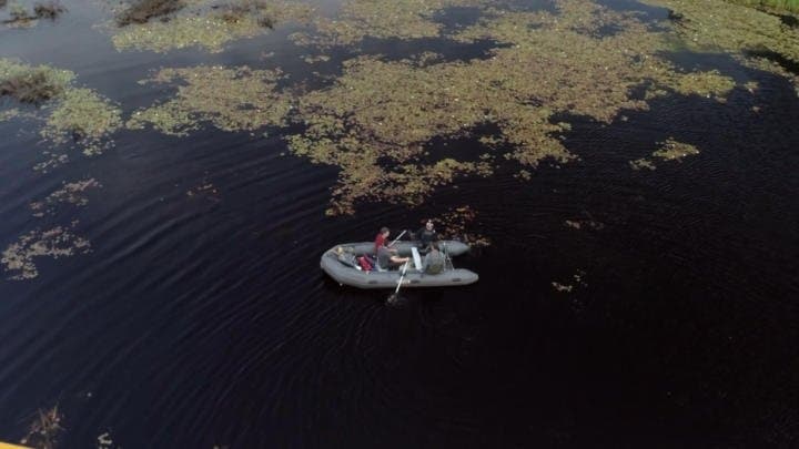 Still from The Eye of the Swamp