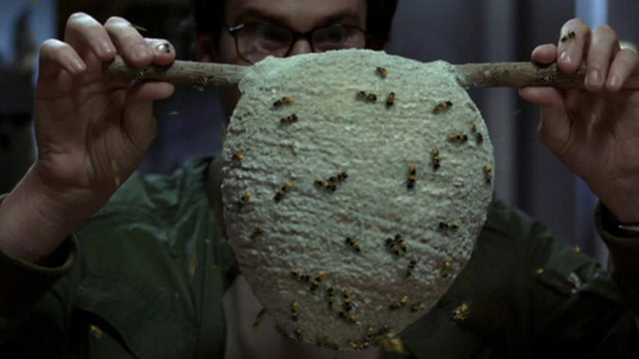 Still from The End of the Whole Mess