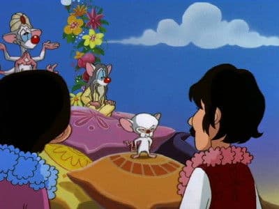 Still from All You Need Is Narf