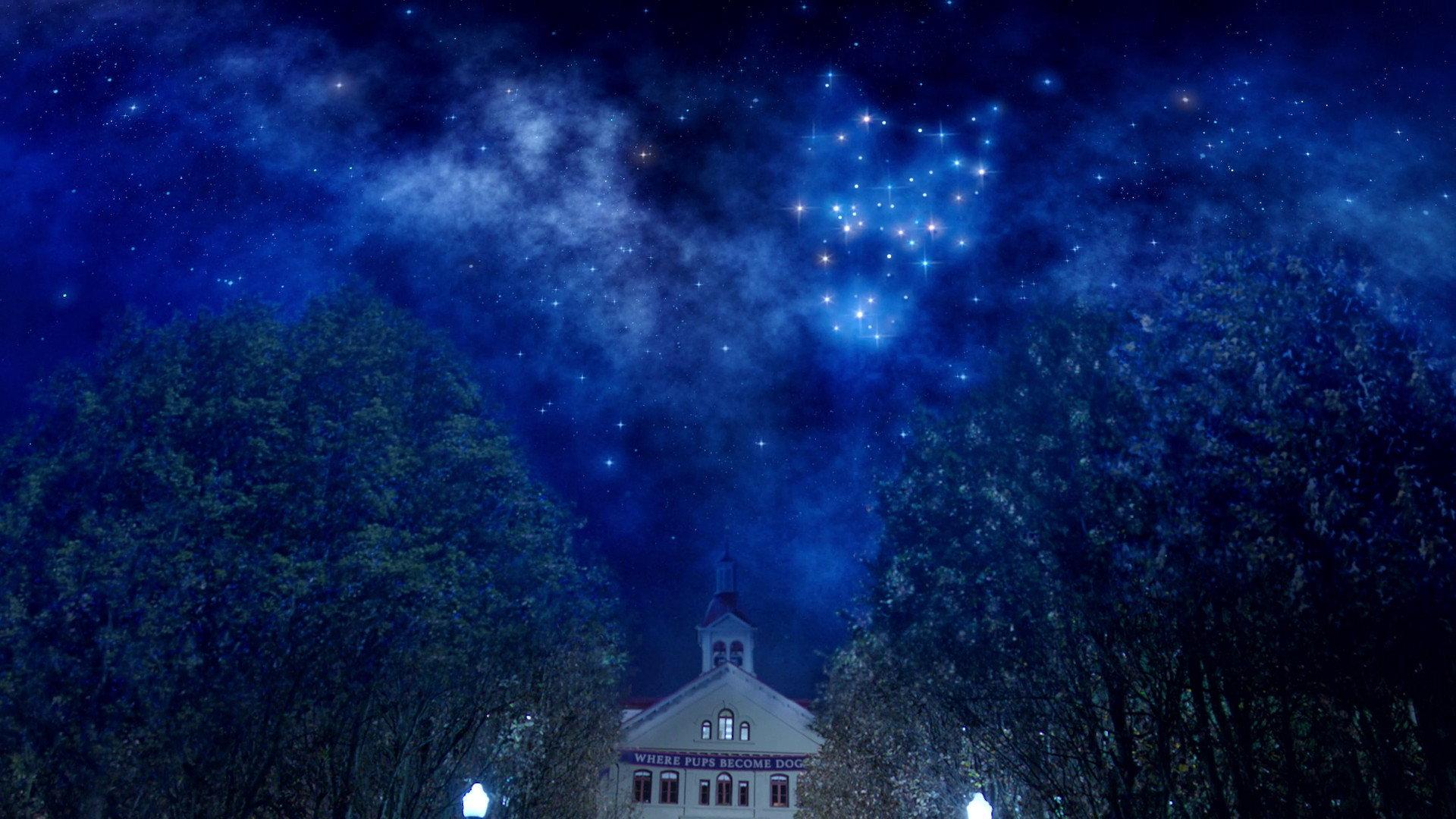 Still from The Constellation Fades