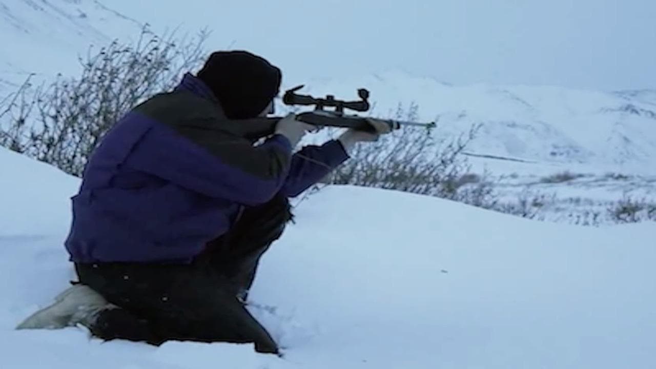 Still from Hunt, Barter and Steal