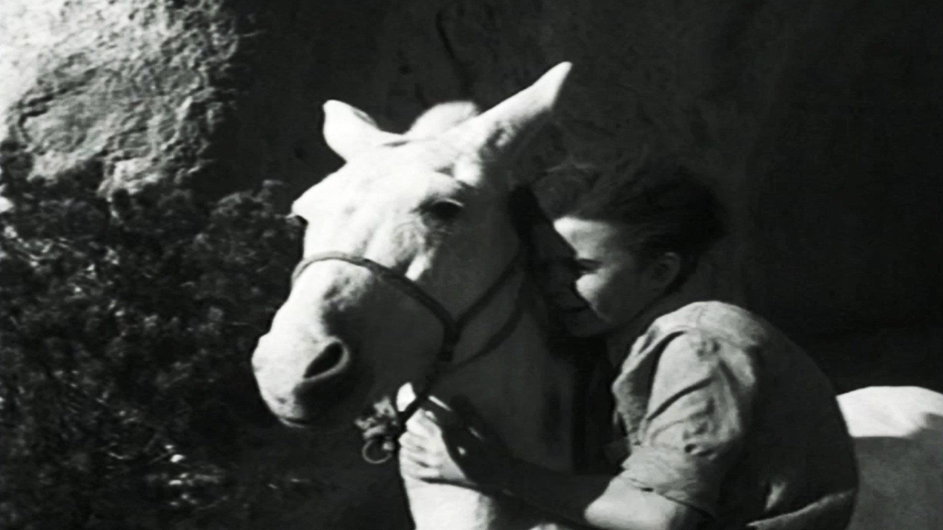 Still from Ten Drops of Water