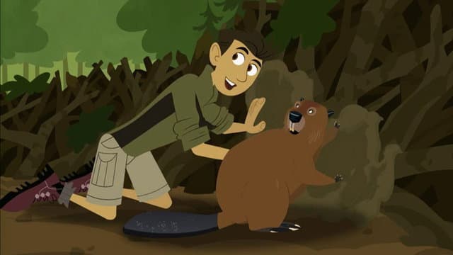 Still from Build It Beaver