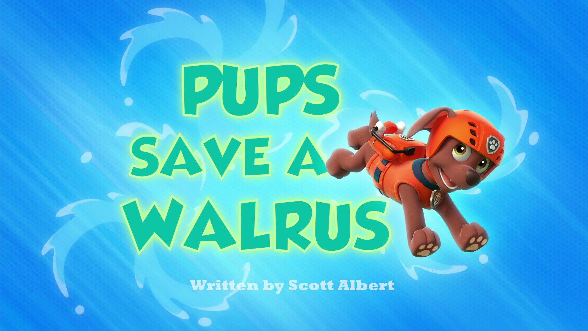 Still from Pups Save a Walrus