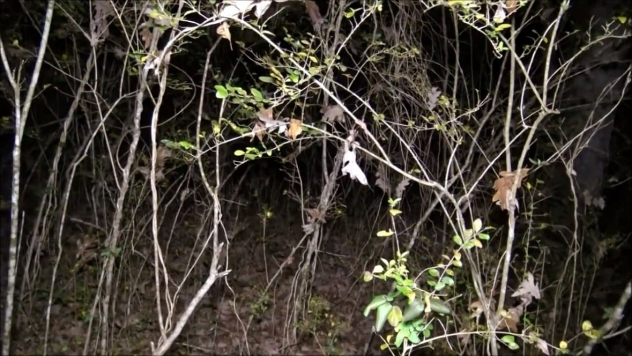 Still from Gettysburg Ghosts and More