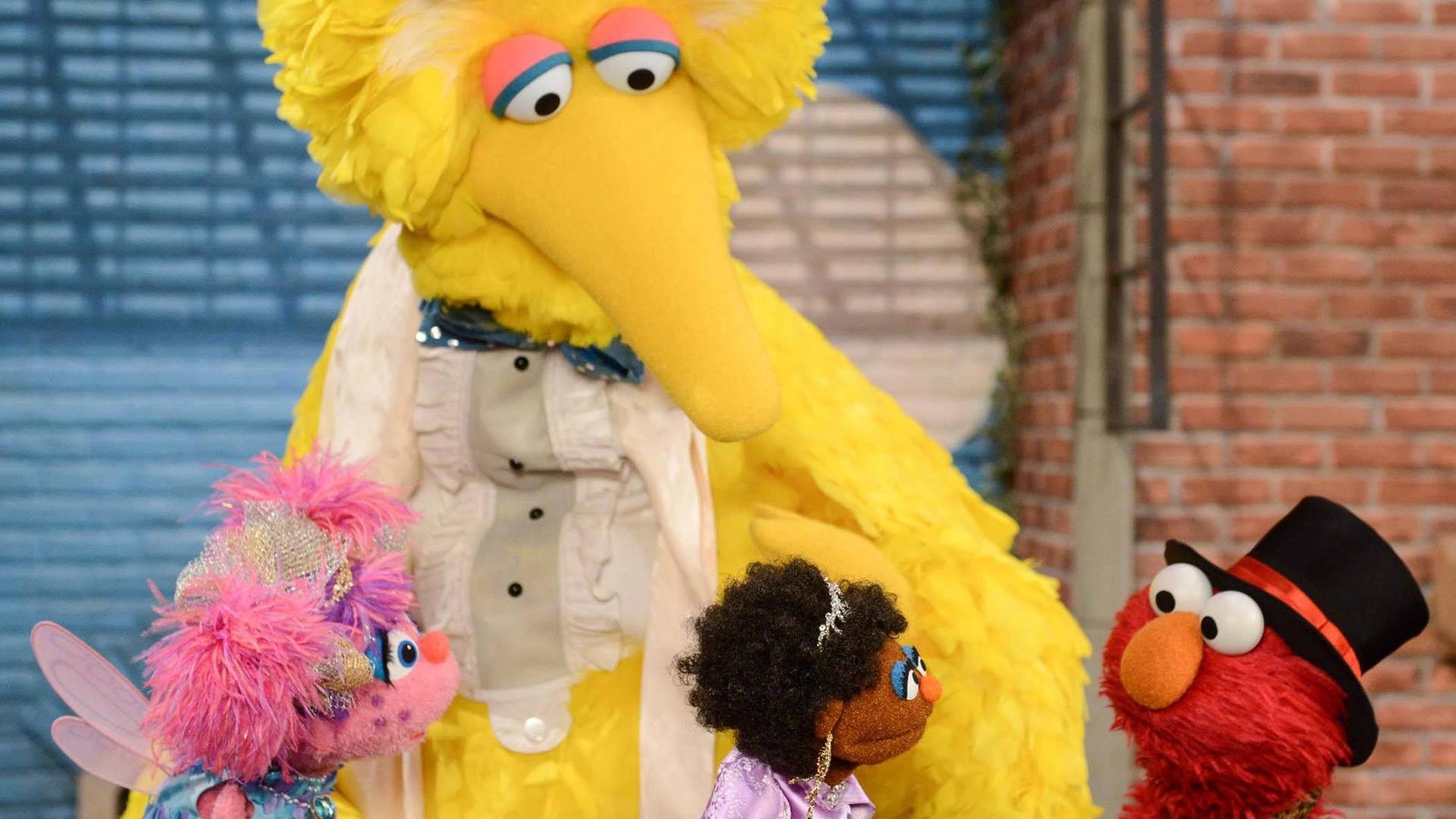 Still from Rocco's Playdate