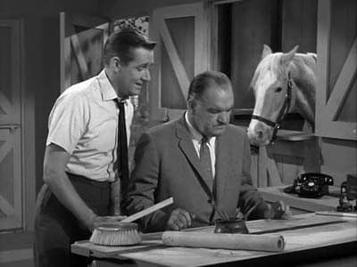 Still from Horse Wash