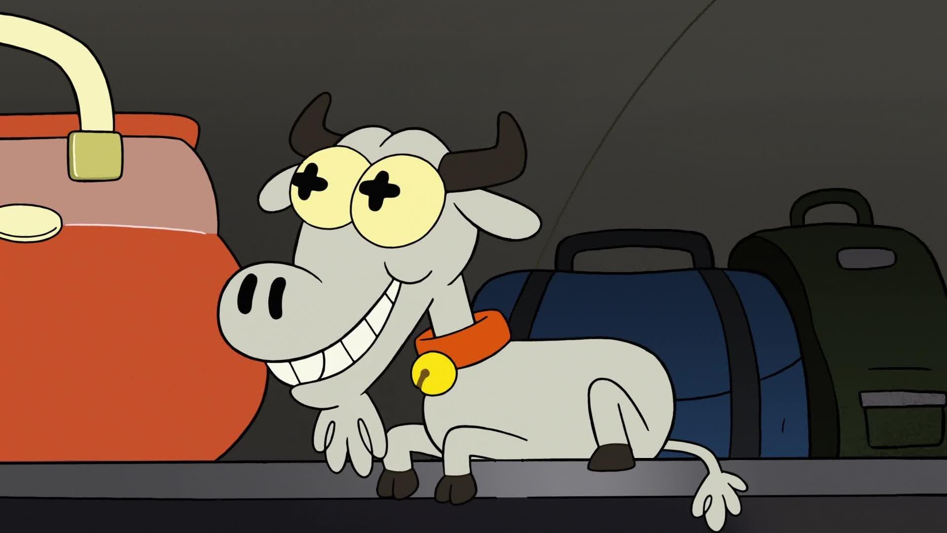 Still from Homeward Hound